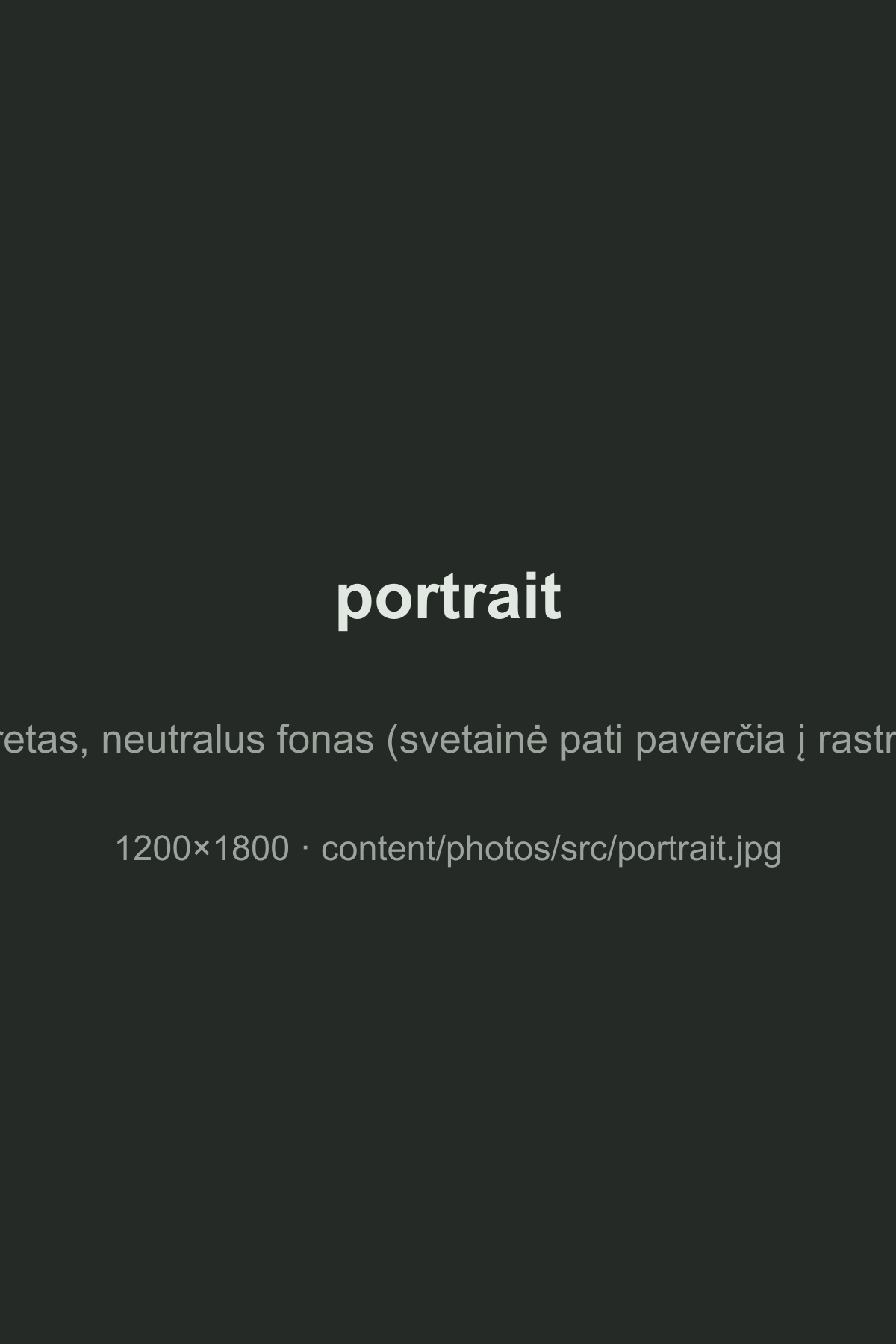 Portreto vieta