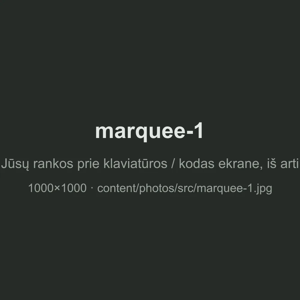 Nuotrauka 1 (marquee)